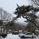 ::네츄럴밸리 글램핑:: 가평 글램핑장 추천 _내돈내산_후기