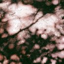 영도의 울림 이미지