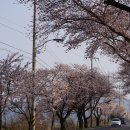 펜션아띠 이미지