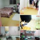 송정동 66-7 이미지