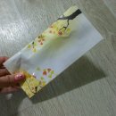 애정후기 마미썬블리님 청비고 :D 그리고 일상(?)ㅋㅋ