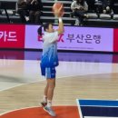신한체육관 | 20260124 우리은행 vs 신한은행 여자농구 직관 후기 | 아산 이순신체육관 주차 좌석 시야