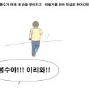 웃보 이미지