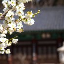 정성드림 이미지