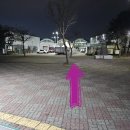 진진청과