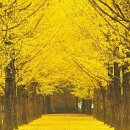 경기대로652번길 이미지