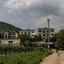 (주)늘푸른마을