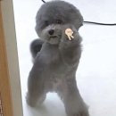 집밥포차 이미지