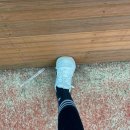 (주)쥐비네트 | 테니스 치다가 종아리 쥐 나는 원인 이유 푸는 방법 예방 운동 꿀팁