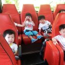 세화소아청소년과의원 이미지