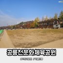 서생체육공원 운동시설 | 공릉천문화체육공원에서 운동하며 가을단풍만끽