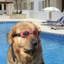 마포아트센터 | [마포아트센터 수영장] 마포 주말자유수영 웨이팅 후기 및 꿀팁