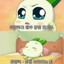 창진체육관 | 그렇게 평범한 하루들 속에 특별함이 찾아오길