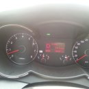 종암농장 | 블루베리 농장 체험