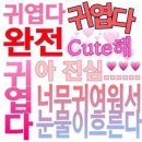 (주)아성다이소 건대입구점 | 지루해 보이는 삶에도 나만 아는 반짝임이 있다.