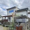 토브앤카라 이미지