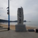 천리포선착장 이미지