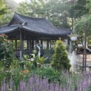 민들레울 이미지