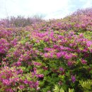 소계주유소 이미지