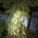 미래농장 이미지