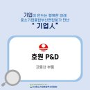 미래P&D