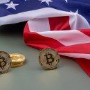 엑스디지탈(주) 이미지