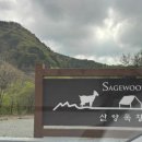 세이지우드 홍천 산양목장