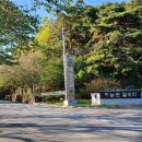 곡성-205 Daum카페