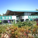 선운 휴 펜션 | 고창 국내커플여행 1박2일 총정리 홀릭이랑 혜윰이랑