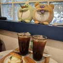 [이수역 디저트 카페] 스코넬리 사당점 / 이수 스콘 디저트 맛집 추천해요 (솔직 후기)