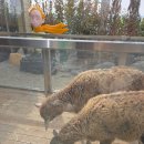 테이블에이 | 파주 아이랑 데이트하기 좋은 테이블에이 방문 후기