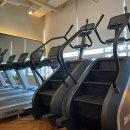 원 피티 이미지