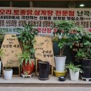 난곡산장 이미지