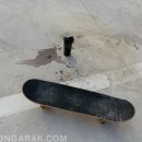 제주라이프 이미지