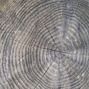 아픔과 세월/月光 이장우 이미지