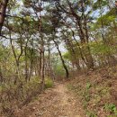 돈달약수터 이미지