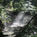 신세계무도장 이미지