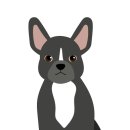 주주동물종합병원 이미지