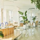 카페 포카오 이미지