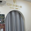 셀포랩루리점 | 울산 달동 다이어트 후기｜셀포랩 루리점 1회 체험 후 다이어트변화