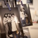 제주애견학교 이미지