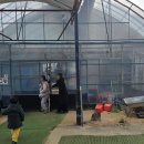 병아리체험농장 민박 | [대구] 팔공산 하하농장 실내 동물원 먹이주기 체험 아이와 가볼 만한 곳 방문 후기