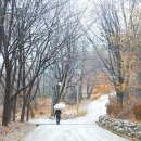 우면산3-25 이미지