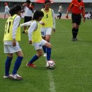 금화초등학교 이미지