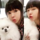 서우 이미지