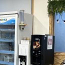 성은 | 제주도 현지인 맛집 성은식당 방문 후기 🐷✨