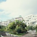 마녹가든 이미지