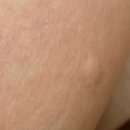 동남빨래나라 | 교토, 나라, 우지 여행 (3) 철학의 길, 은각사소바, 반스카페, 후시미이나리 등등..