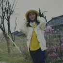 갈마초교병설 이미지