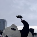 예원서점 | 중국 쓰촨 청두 두장옌 가볼 만한 곳 종서각(钟书阁) 서점과 도강언 푸른 눈물 야경 廊桥仰天窝